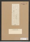 Synedra sp. (de-Toni-Nr.: Genus 66) Zeichnungen Sammlung Grunow Nr. 5430 (NHMW-BOT-W0373527)